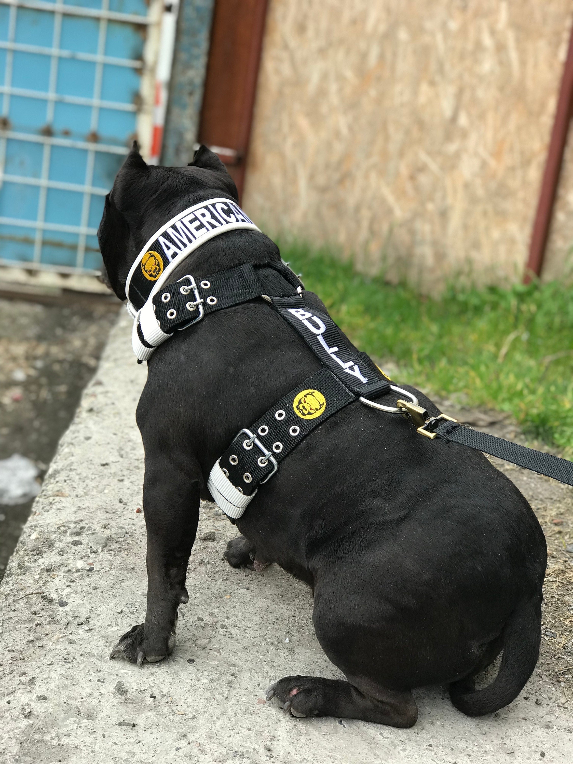 手作りナイロン製犬用首輪セット：カスタム刻印入りペット用首輪