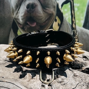 Luxury 6cm (2,4 inch)  Wide Spiked Leather Dog Collar – Handmade for Cane Corso, K9, Rottweiler, Presa Canario, Doberman, Malinois, Kangal
