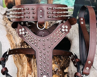 Handmade Buffalo Leather Dog Harness Set: Personalized Spiked Collar