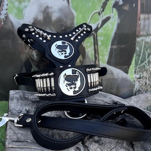 8 cm 3.14’’ Handmade Leather Dog Collar & Harness Set – Bullet Decor | Premium Buffalo Leather | Large Breed Luxury Set