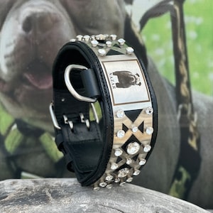 Custom Photo Dog Collar | 6cm Soft Padded Buffalo Leather | Crystal Studded Luxury Collar for Cane Corso, K9, Presa Canario, Rottweiler