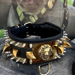 8cm Buffalo Leather Dog Collar & Lion Emblem – Handmade Extreme Luxury Collar for Cane Corso, Kangal, Presa Canario, Rottweiler, Bully, K9