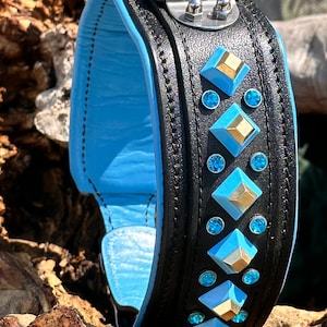 Peut inclure: Un collier de chien en cuir noir avec une doublure bleu clair et des ferrures argentées. Le collier est décoré de clous pyramidaux dorés et bleus.