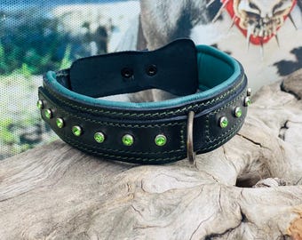 May include: A black leather dog collar with a teal green lining and green rhinestones.