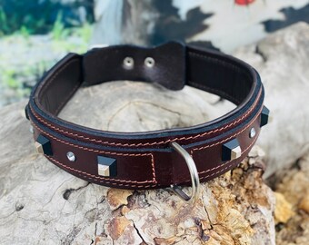 May include: A brown leather dog collar with black and silver accents. The collar has a silver D-ring and is decorated with small, square-shaped studs.