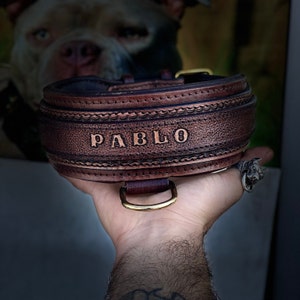 Craft Dog Collar with Name Plate | Handmade Dog Collars | Custom Dog Collar | Personalized Collars | Dog Gift | Engraved Dog Collar|