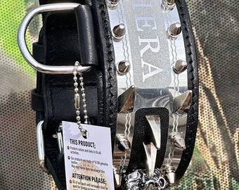 Handmade Leather Dog Collar: Custom Engraved Name Plate