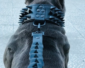 Handmade Buffalo Leather Dog Collar: Custom Engraved Name Plate