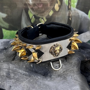 8cm Handmade Extreme Dog Collar – Buffalo Leather, Heavy Duty Luxury Collar for Cane Corso, Kangal, Presa Canario, Rottweiler, Bully, K9