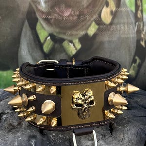 8cm (3.14 &#39;&#39;),  Extreme Dog Collar – Gold Steel Plate with Punisher Emblem, Large Spikes, Handmade Leather for Cane Corso, Bully