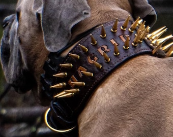 Handcrafted Wide Spiked Dog Collar, Personalized Name, for Cane Corso, American Bully, Doberman
