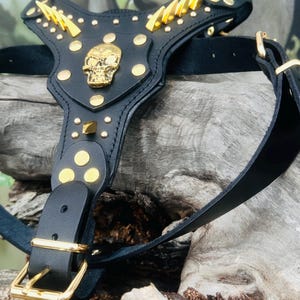 Handmade Buffalo Leather Dog Harness: Skull & Lightning Studded Design