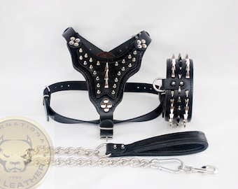 Spiked Leather Dog Harness Set: Personalized Collar, Leash, Large Breeds