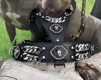 Handmade Leather Dog Collar Harness Set: Chrome Chain American Bully Design