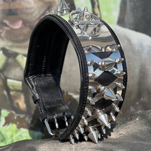 Spiked Dog Collar with Steel Plate – Handmade Leather Collar for Large & Medium Breeds – Heavy-Duty Protection Gear, americanbully, pitbull