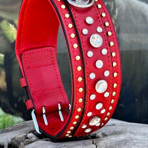 Crystal Dog Collar: Handmade Leather, Engraved, Personalized Pet Collar