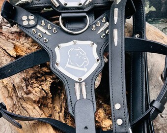 Handmade Buffalo Leather Dog Harness Set: Personalized Engraved Collar
