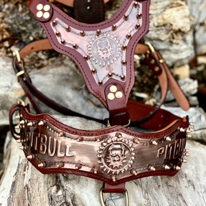 Set da passeggio per cani Gladyator in pelle con pettorina: collare personalizzato con incisione.