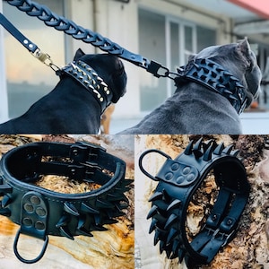 May include: Two black leather dog collars with silver studs and spikes. One collar is on a dog, the other is on a wooden surface.