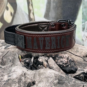 May include: A brown leather dog collar with the name "MAVERICK" embossed in dark gray lettering. The collar has a black nylon strap and a metal buckle. The collar is displayed on a piece of weathered wood.