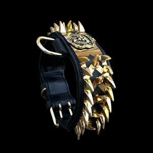 Op de afbeelding: Een zwarte leren halsband met rijen scherpe, goudkleurige metalen punten en een centraal goudkleurig embleem van een leeuwenkop. De halsband is voorzien van een goudkleurige D-ring voor bevestiging en een gespsluiting met dubbele doorn.