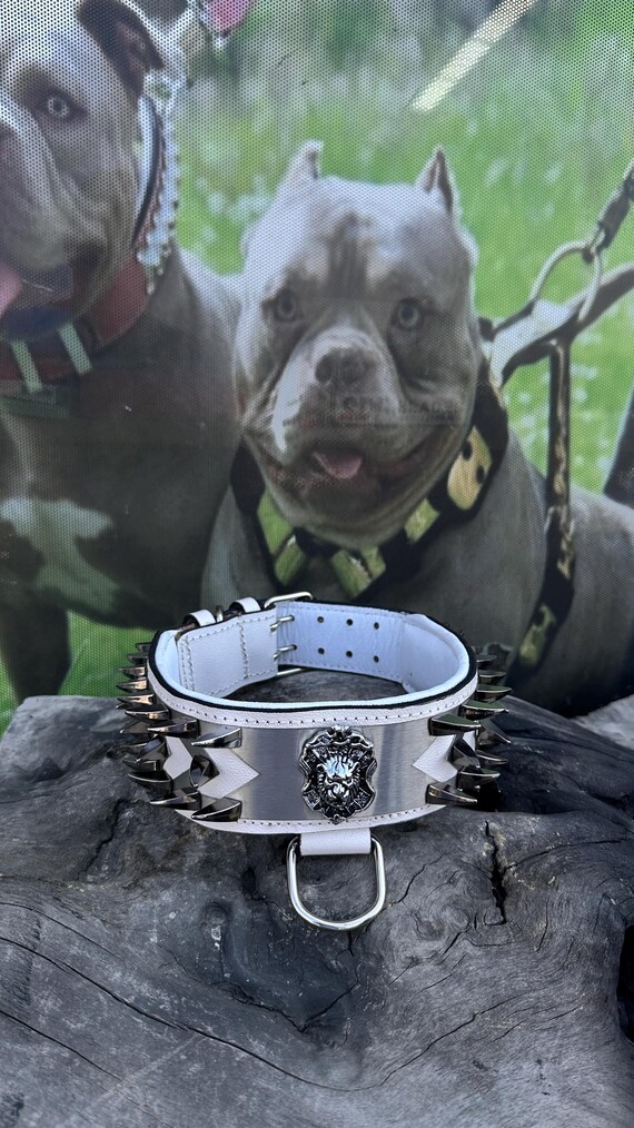 Set Di Imbracature Per Cani Con Logo Personalizzato - Foto 2