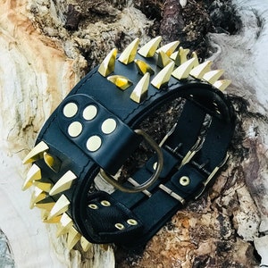 May include: Black leather dog collar with gold-colored spikes and a buckle closure.