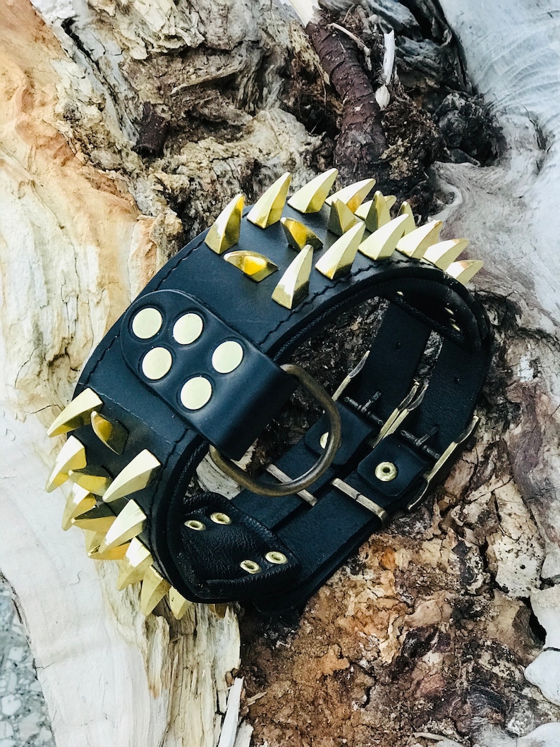 May include: Black leather dog collar with gold-colored spikes and a buckle closure.