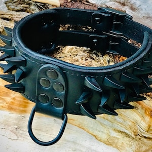 May include: Black leather dog collar with a double buckle closure and a row of sharp, black spikes around the edge. The collar has a D-ring for attaching a leash.