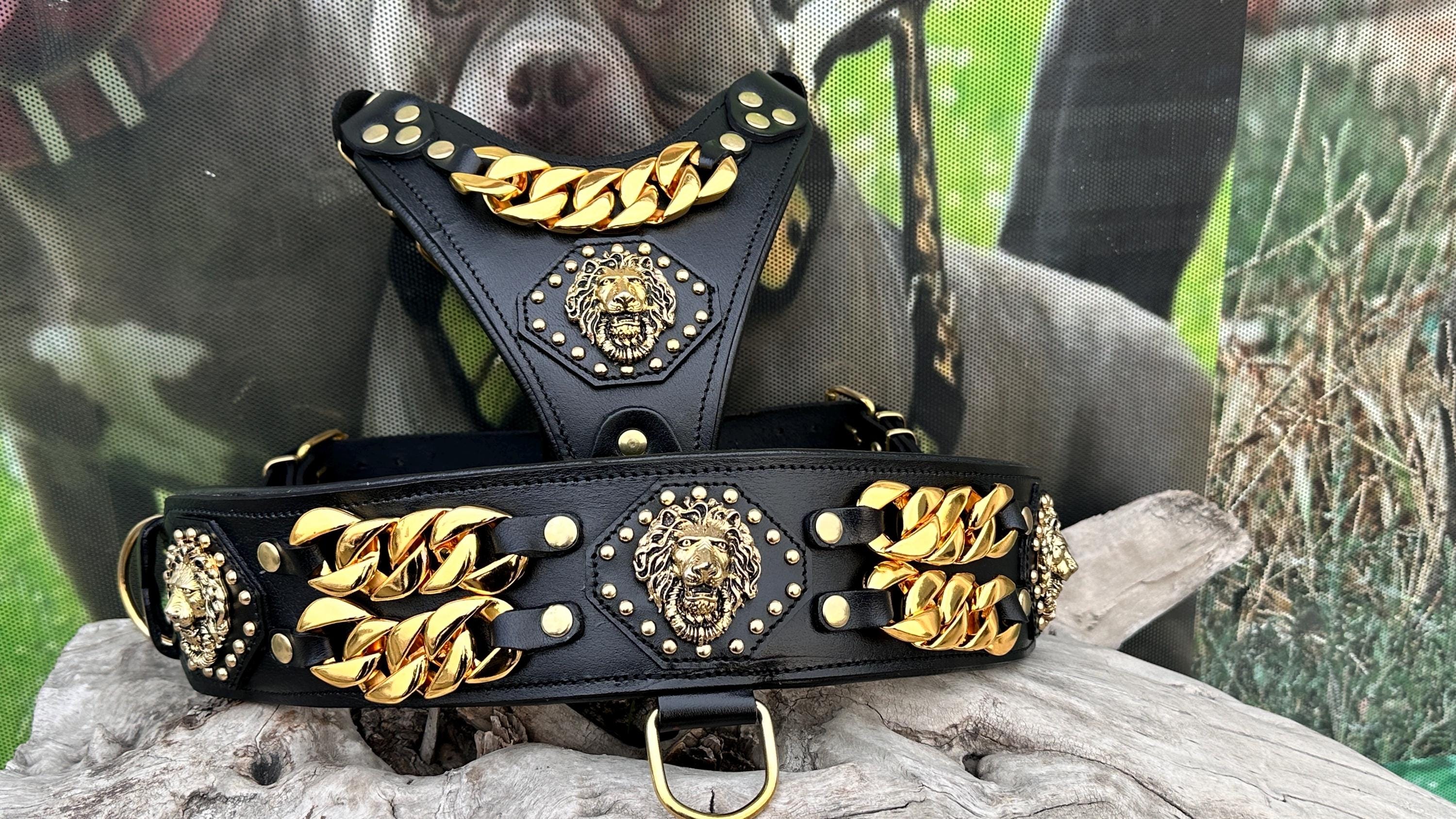 Luxury Leather Dog Collar Harness Set: Gold Chain Lion Logo