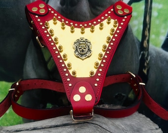 Handmade Buffalo Leather Dog Harness: Gold Hardware, Lion Emblem Collar, Comfort Dog Harness