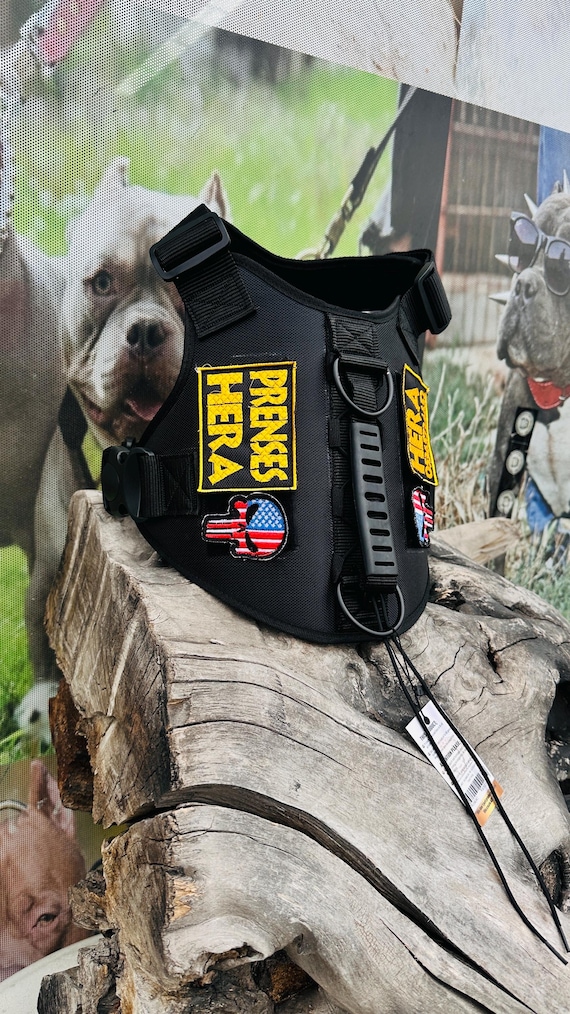 Custom Embroidered Tactical Dog Harness Set: Heavy Duty Nylon