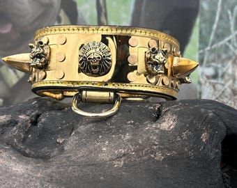 May include: A gold-colored dog collar with a decorative design. The collar features a central emblem of a Native American chief's skull, flanked by two lion heads and two large, gold-colored spikes. The collar has a metal D-ring for leash attachment.