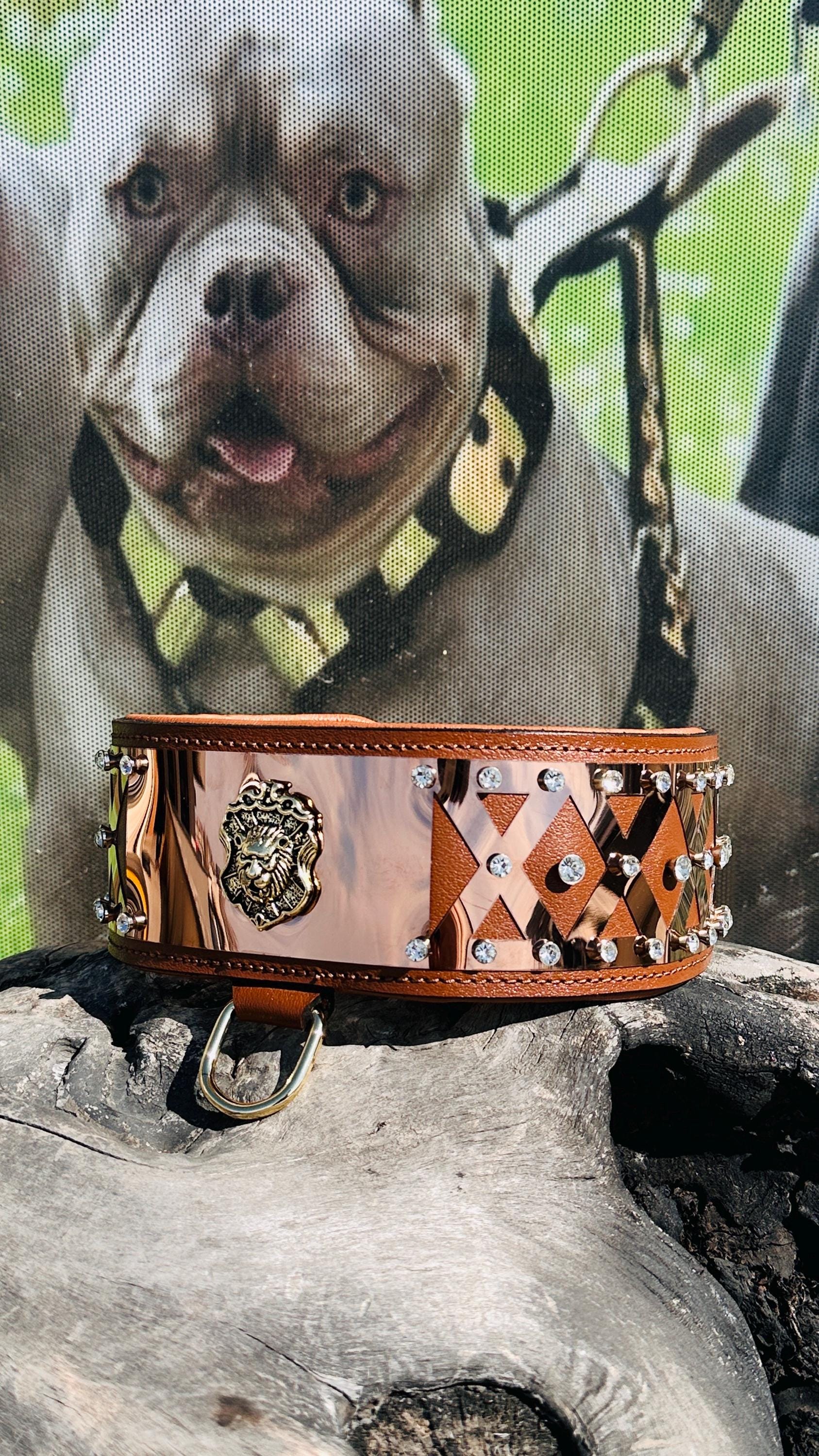Luxury Leather Dog Collar: Handmade Bronze Steel & Crystal  display picture 1