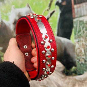 Op de afbeelding: Een rode leren hondenriem met zilveren studs en rode strass steentjes. De riem heeft een zilveren naamplaatje.
