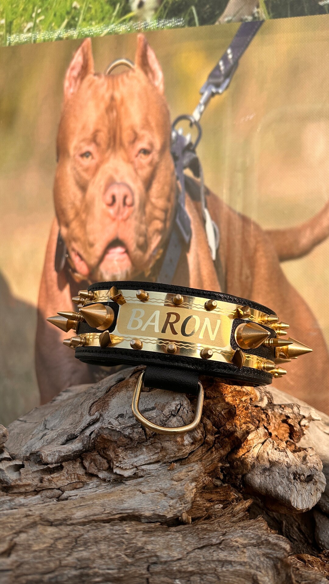 Personalized Bully Leather Collar Handmade Custom Dog Collars Engraved