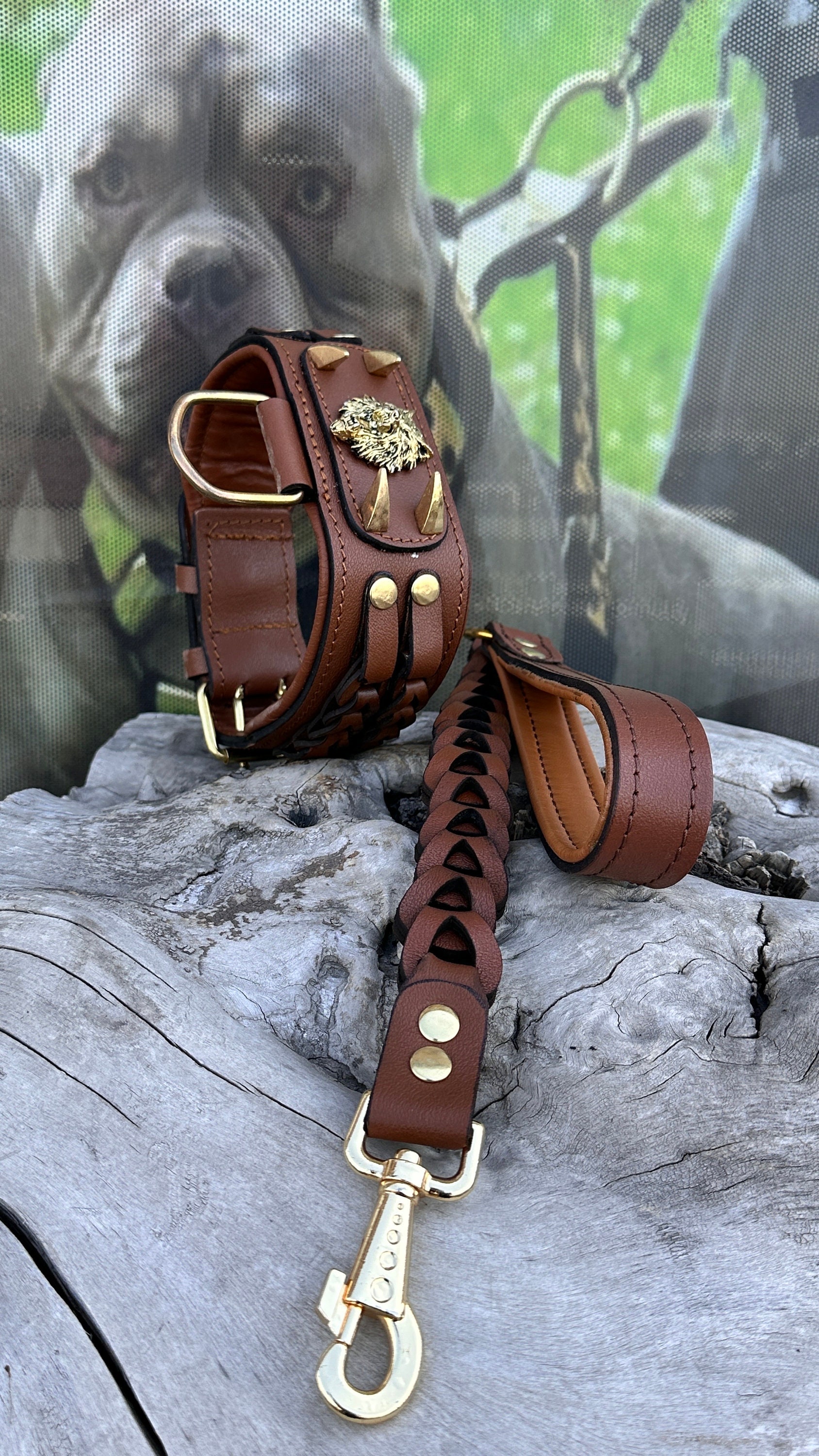 MICHUR Design Hundehalsband Aus Leder – Handgefertigt, Braun, Mit Kronen-Detail, Größe 35–72 Cm