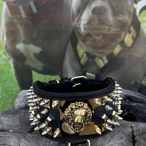 8cm Extreme Dog Collar – Buffalo Leather, Lion Emblem – Handmade Luxury Collar for Cane Corso, Kangal, Presa Canario, Rottweiler,