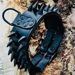 May include: Black leather dog collar with a row of sharp spikes and a double buckle closure.