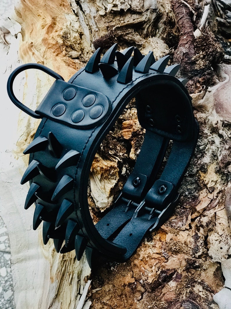 May include: Black leather dog collar with a row of sharp spikes and a double buckle closure.