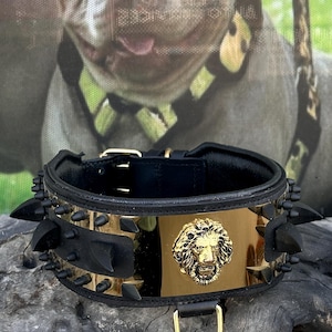 Gold Steel Plate Dog Collar with Lion Logo | 8cm Wide Black Spiked Buffalo Leather Collar | Handmade Collar for Cane Corso, Presa Canario