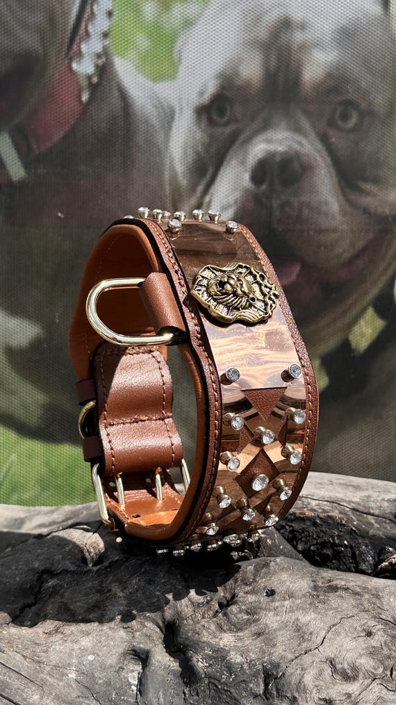 Handgefertigtes Halsband aus Bffelleder: Kristall Kristall & Stahlplatten  Halsband fr groe Hunderassen - Etsy.de