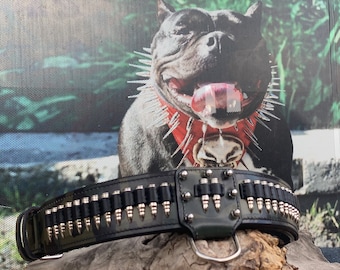 Handmade Buffalo Leather Bullet Dog Collar | Engraved Custom Pitbull Collar