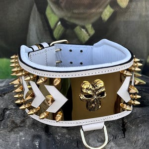 White Leather Spiked Dog Collar, 3,15&#39;&#39;,  Buffalo Leather with Gold Punisher Logo, Luxury Handmade Collar for Cane Corso, K9, Presa Canario,