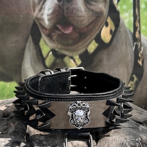 Black Steel Spiked Dog Collar | 6cm Wide Buffalo Leather with Static-Coated Metal Spikes & Lion Logo | For Cane Corso, Rottweiler, pitbull