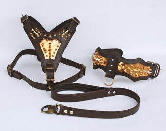 Handmade Buffalo Leather Dog Harness Set: Personalized Spiked Collar, Leash