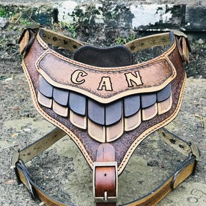 Handmade Buffalo Leather Dog Harness: Greek Mythology Inspired, Personalized Armor