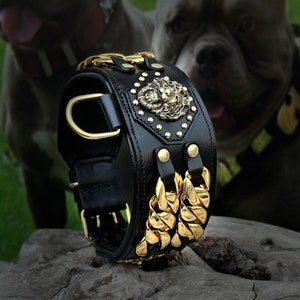 May include: Black leather dog collar with gold chain accents and a lion head design. The collar has a D-ring for leash attachment.
