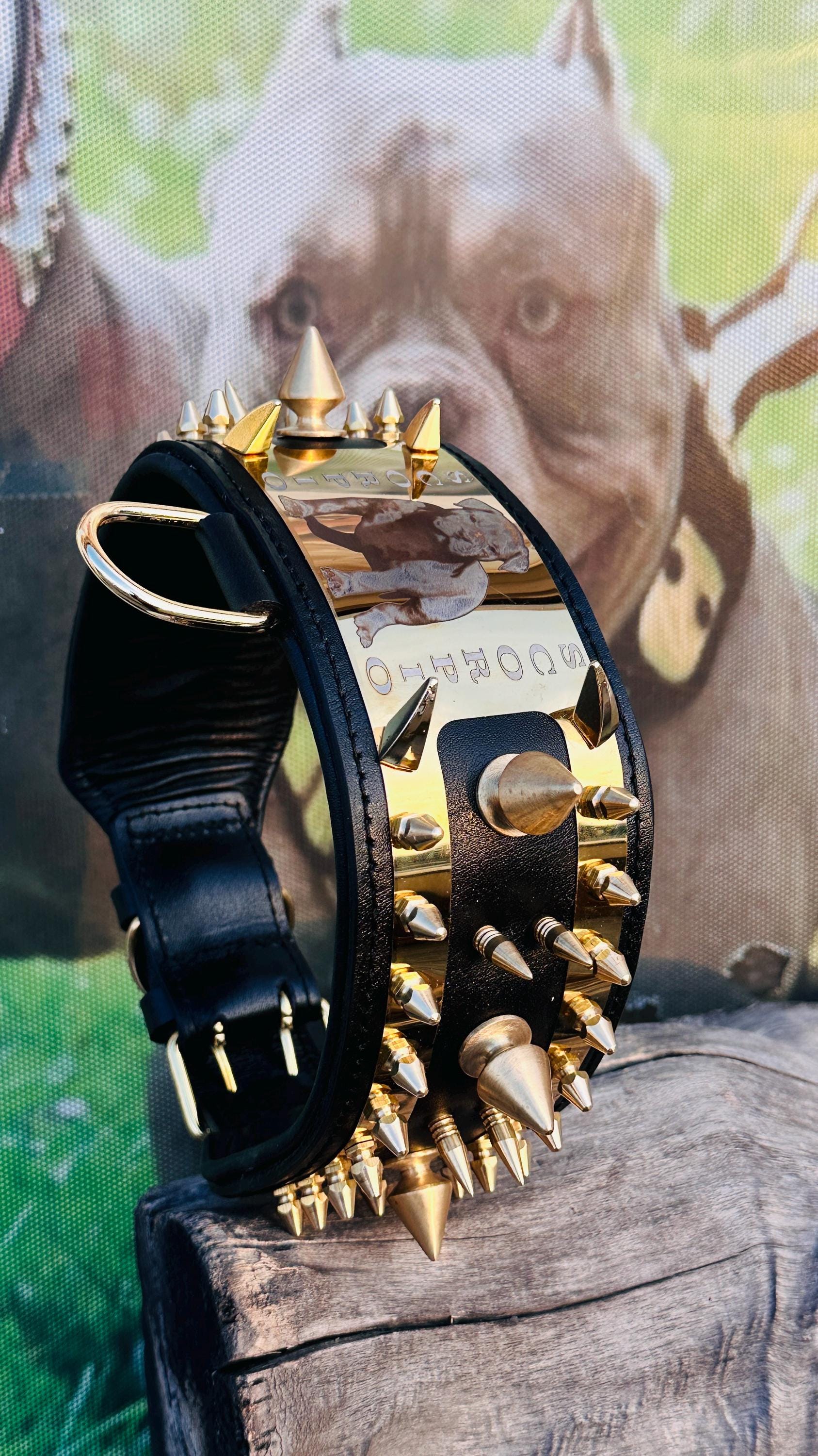 Handgefertigtes Hundehalsband aus Leder: Gold Stahlplatte, individueller  Name, groe Hunderasse - Etsy.de