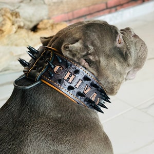 Handmade Personalized Leather Dog Collar with Spikes & Custom Name – Strength  Prestige for Large Breeds
